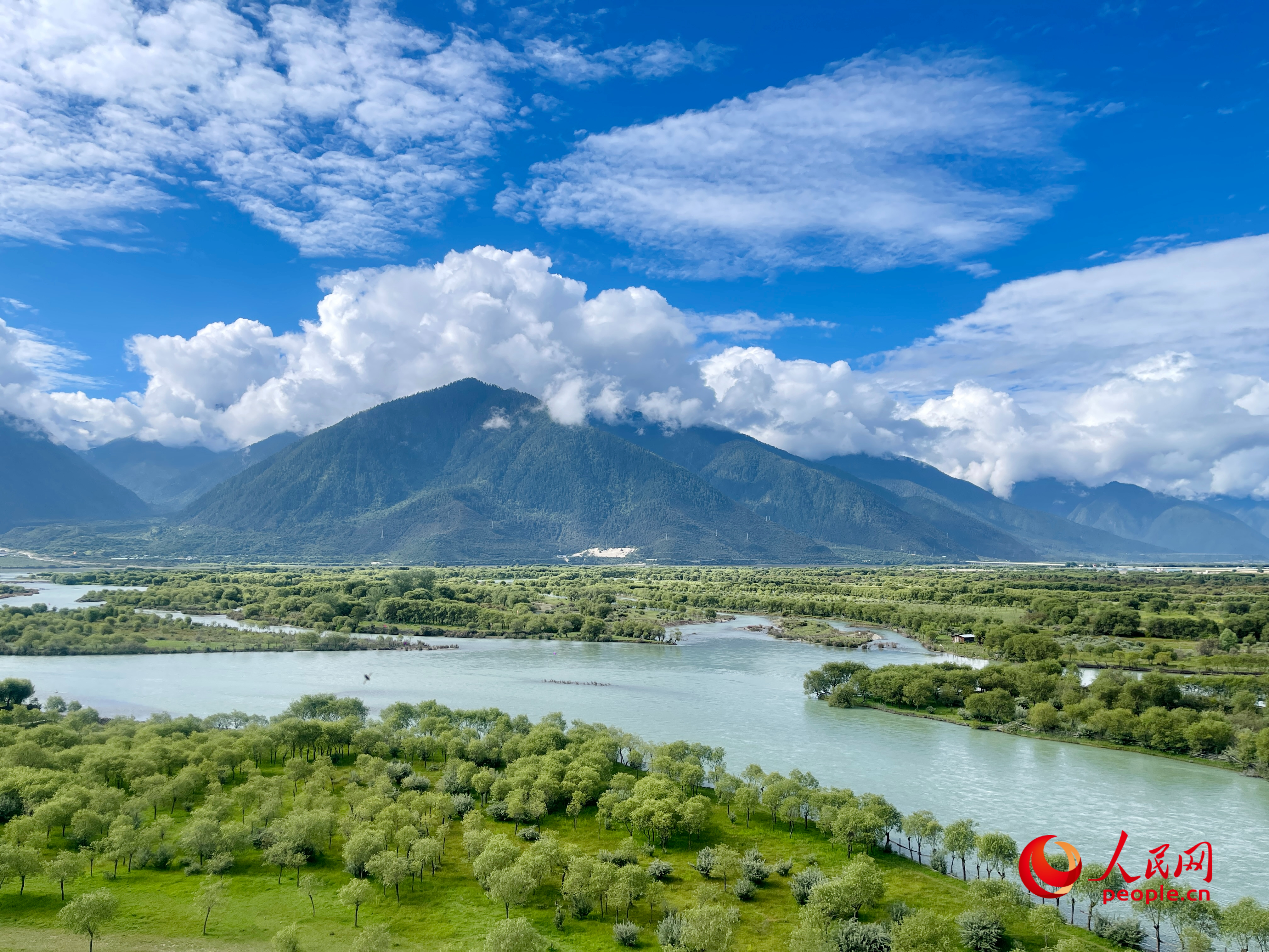 夏日的雅尼國家濕地公園生機盎然，如詩如畫。人民網(wǎng) 周靜圓攝