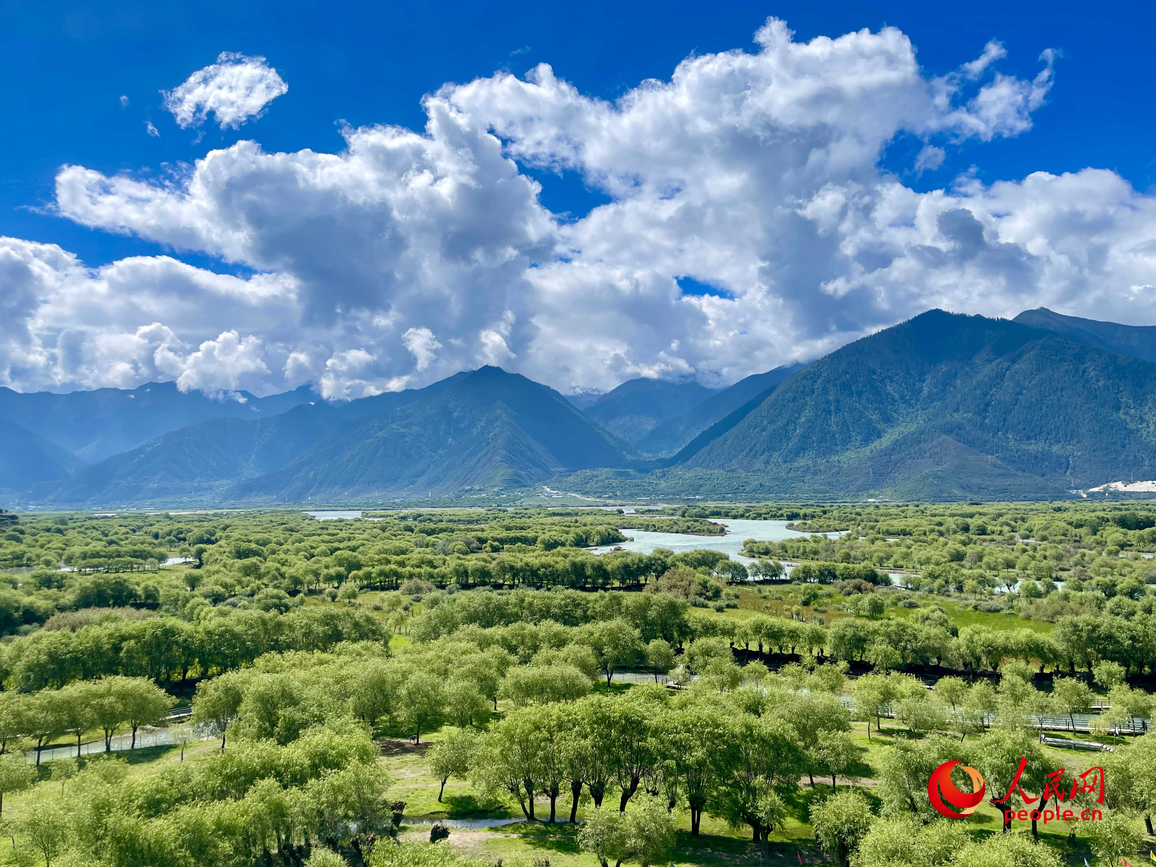 夏日的雅尼國家濕地公園生機(jī)盎然，如詩如畫。人民網(wǎng) 周靜圓攝