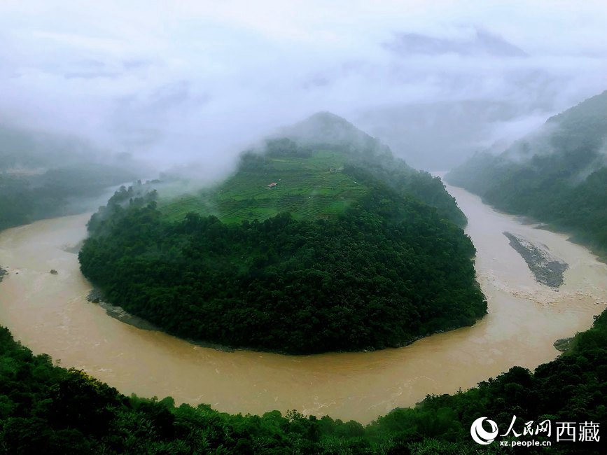 雅魯藏布江大峽谷蛇形拐彎處，山坡上種滿茶樹。