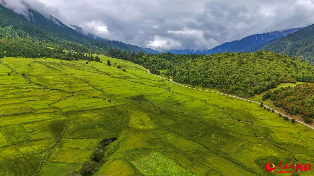 圖為航拍高山牧場(chǎng)鳥(niǎo)瞰圖。人民網(wǎng)記者 次仁羅布攝