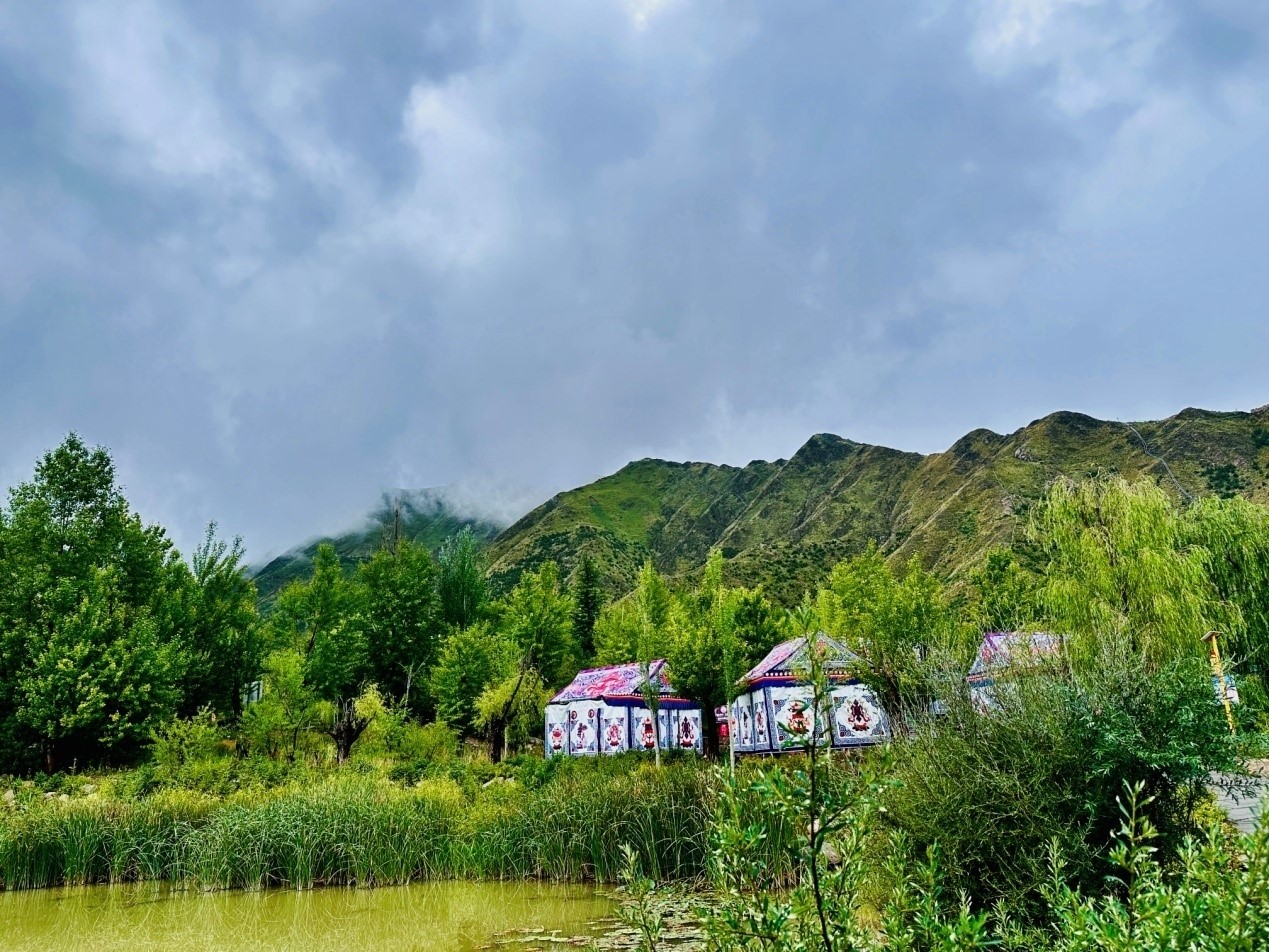 郁郁蔥蔥的南山公園。人民網(wǎng)記者 益西康珠攝