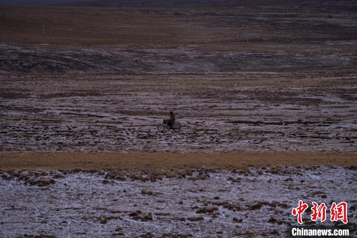 西藏安多：牧民雪中放牧美景如畫